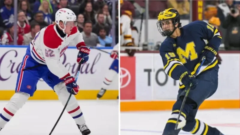 Laine Faces Limited Market; Hage Demand Rises