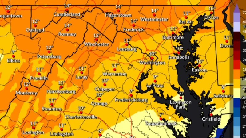 Northern Virginia Braces for Winter Storm: Up to 14 Inches Expected