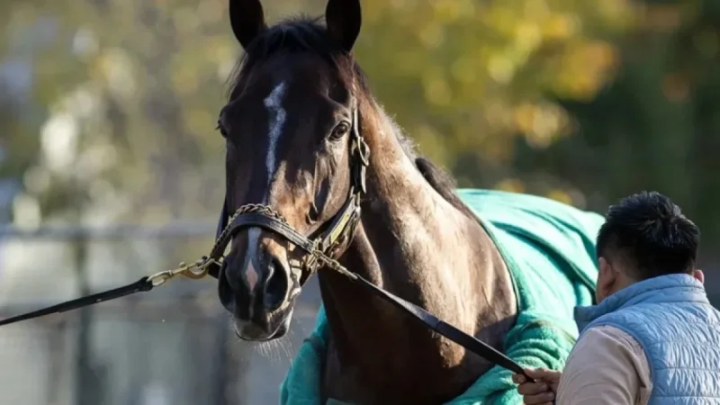 “Sovereignty Triumphs as Horse of the Year, Top 3YO Male”