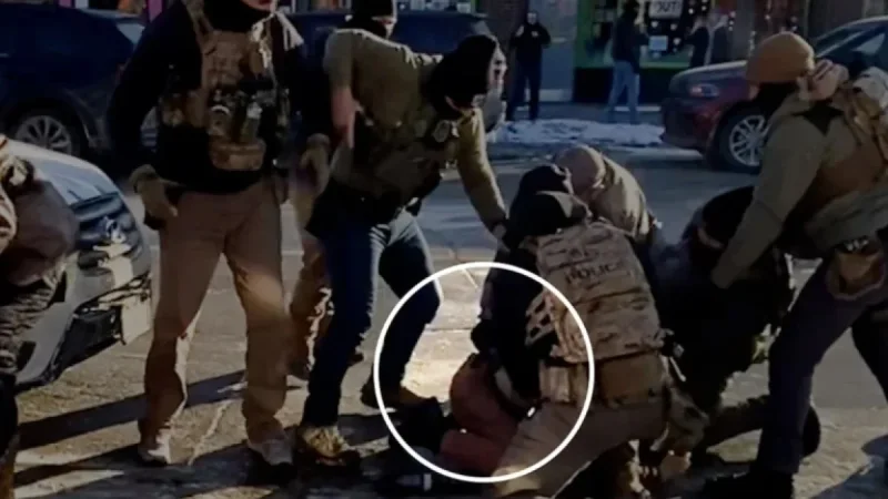 Agent Secures Gun from Pretti Before Fatal Minnesota Shooting, Videos Reveal