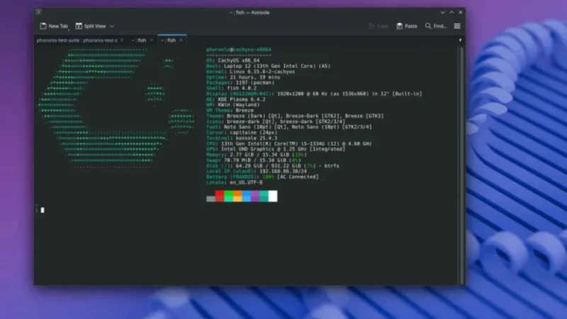 CachyOS Adopts Plasma Login Manager and Wayland for 2026 Launch