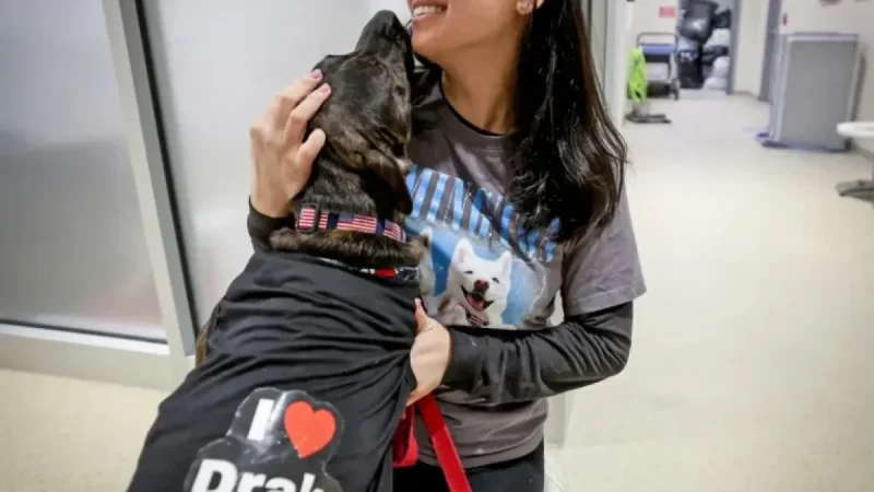 Patriots’ Mike Vrabel Transforms Shelter Dog Culture, Says Robert Kraft’s Wife