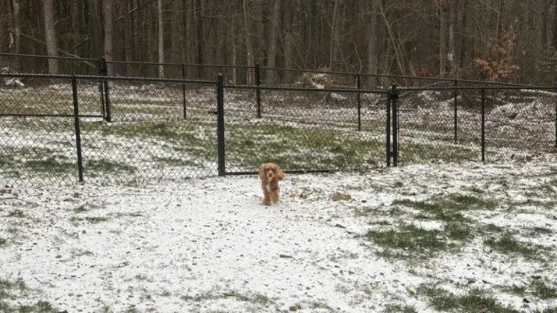Winter Storm to Hit Chattanooga Area with Snowfall on Saturday
