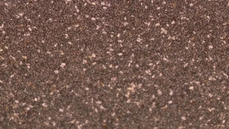 Nationwide Chia Seeds Recall Due to Salmonella Risk