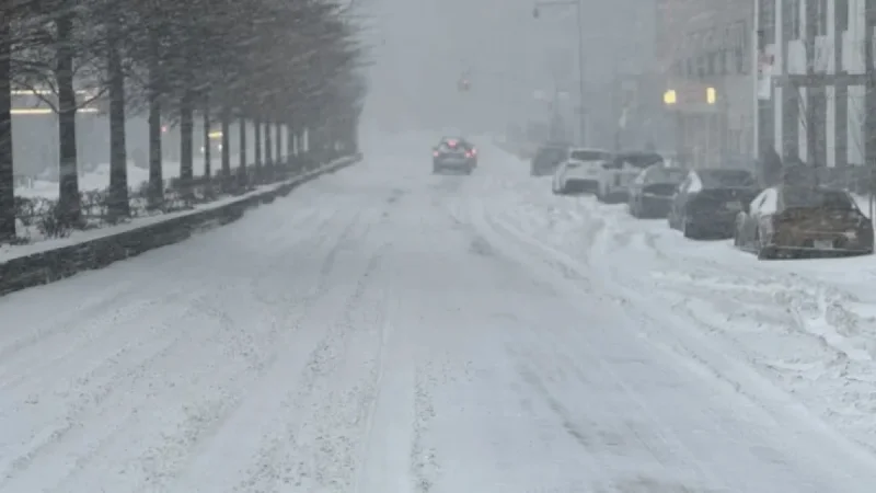 NYC Investigates 6 Deaths Potentially Linked to Extreme Cold