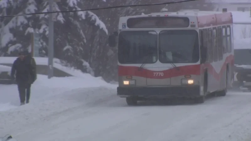 Police Report: Random Attack on NE Calgary Transit Bus Injures One
