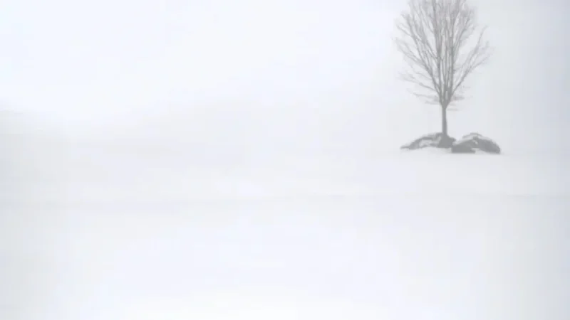 Sub-Zero Temperatures Expected: Plan Ahead to Prevent Health Risks