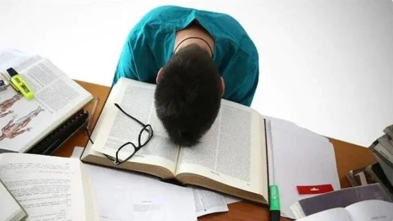 Teen Flees to Goa With Sister’s UPSC Fees, Citing Exam Stress