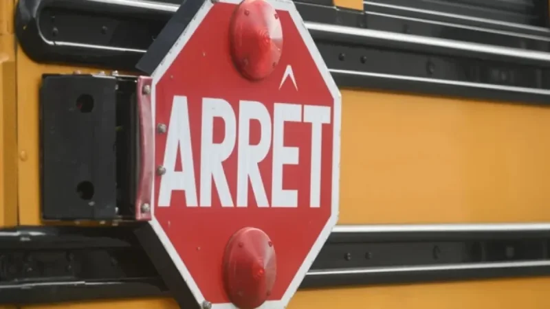 Transporters Deplore Ignored School Bus Stop Signs