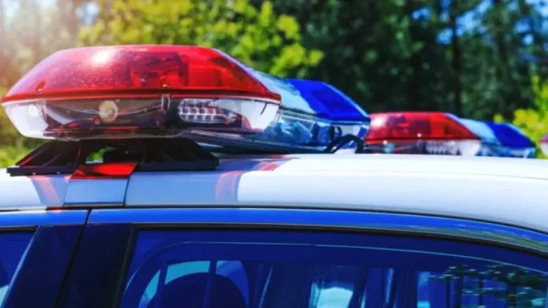 Two Arrested in Attempted Theft at Saint-Pamphile