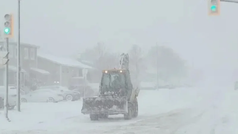 Avalon Faces 12-25 cm Snowfall from Mainland Storm Today