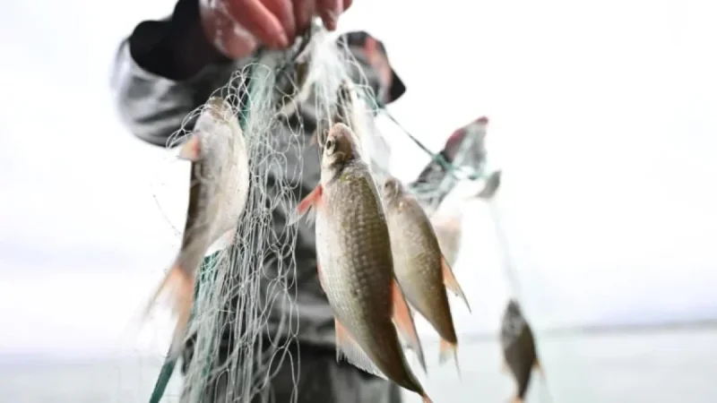 Baden-Württemberg: Fishing Dispute at Lake Constance and Student Heating Issues
