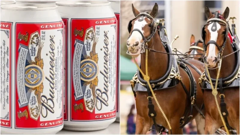 Budweiser Unveils Stunning Super Bowl Ad: Watch Now