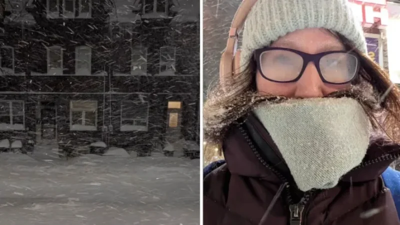 Toronto Woman Walks 8km After TTC Fails Amid Record Snowstorm