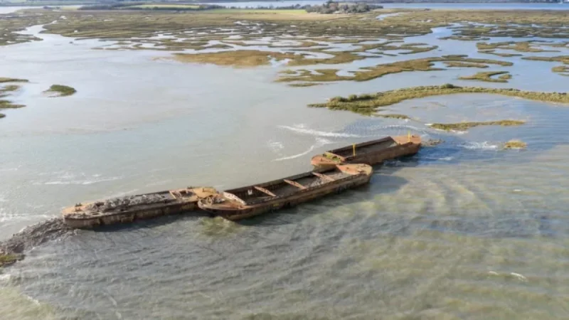 National Trust Submerges Barges to Create Bird Sanctuary Island