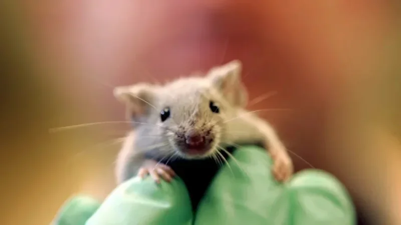 Breakthrough Study: Scientists Achieve Pancreatic Tumor Regression