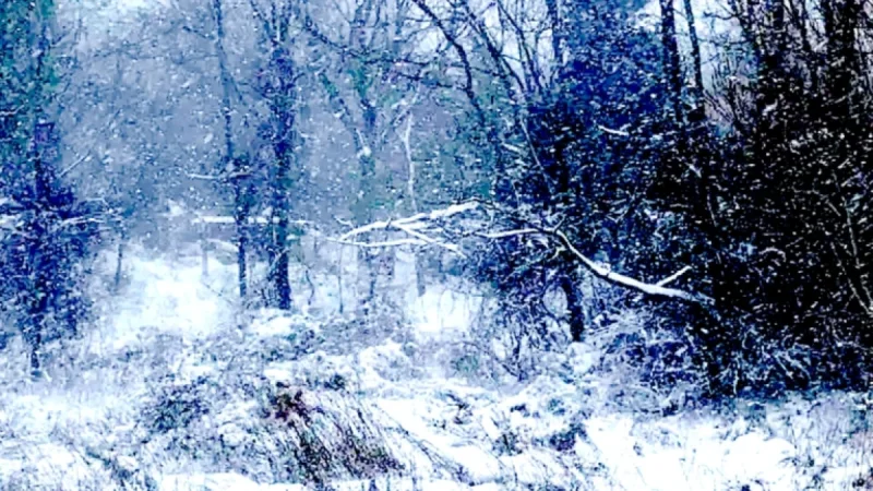 Monday Weather Alert: Icy Roads, Snow, Frost, and Beach Erosion Expected