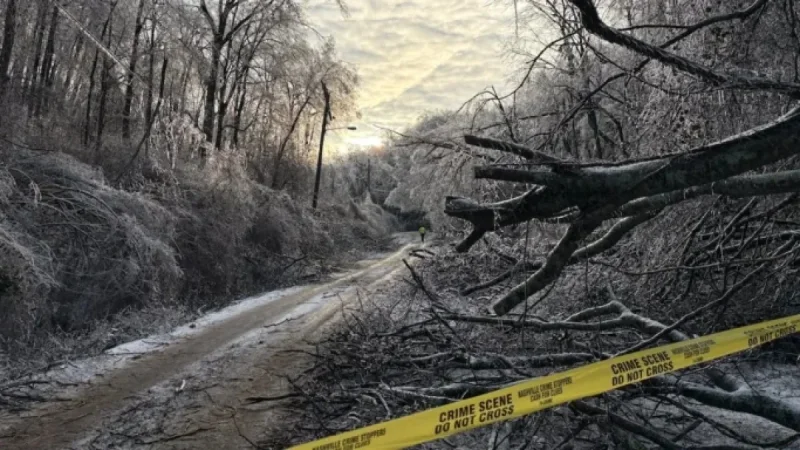 92-Year-Old Man Becomes Fourth Suspected Winter Storm Death in Davidson County