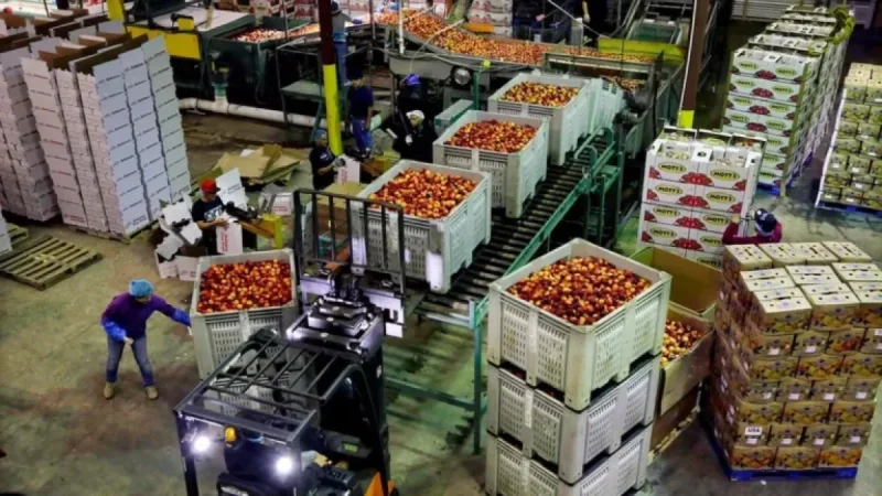 U.S. Producer Prices See Largest December Increase in Five Months