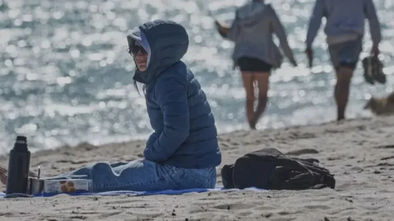 Florida Prepares for Frost and Snow Amid U.S. Winter Storm Impact