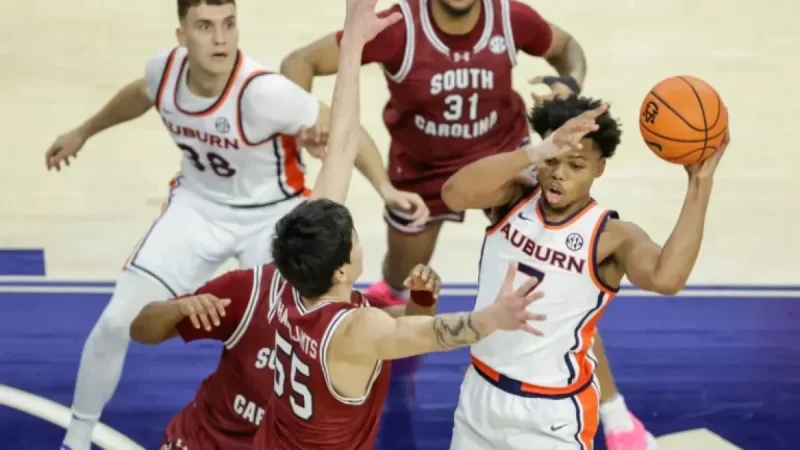Top 10 Best Current Transfers Ranked: Portal Report