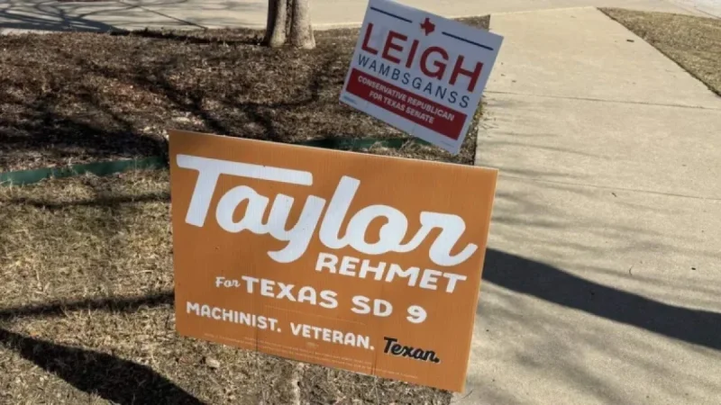 Texas Senate Runoff: Rehmet Leads Wambsganss in Live Election Results