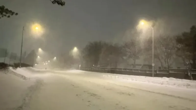 Newfoundland Storm Shuts Schools, Stops Bus Services