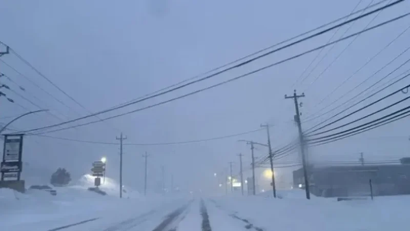 Snowstorm Forces Metro Newfoundland to Shut Down Amid Strong Winds