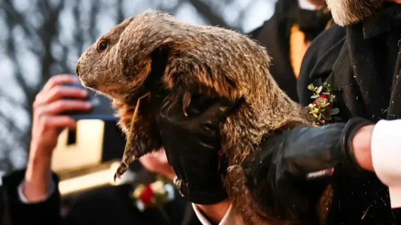Stream Groundhog Day 2026 Live: Punxsutawney Phil Makes His Debut