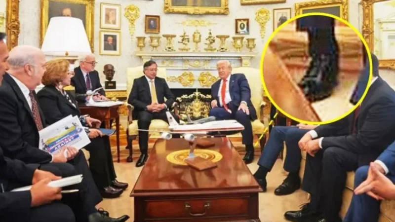 Trump, 79, Unintentionally Reveals Cankles in Photo with World Leader