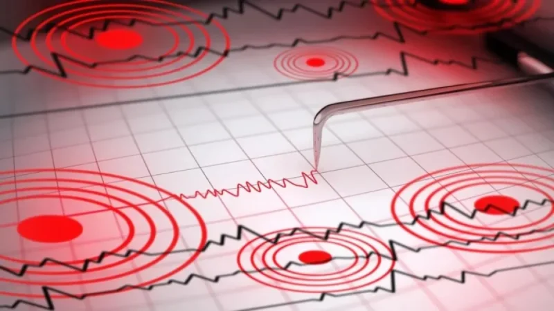 4.6-Magnitude Earthquake Strikes Kashmir