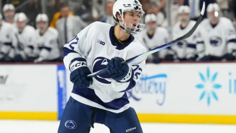 Gavin McKenna, 2026 NHL Draft Prospect, Charged with Felony