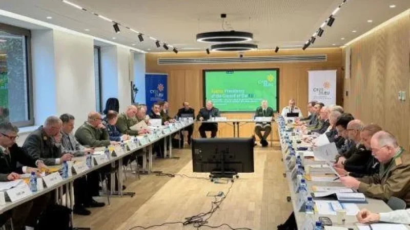 Cyprus Presidency Workshop Tackles Crisis Management and Civilian Evacuation