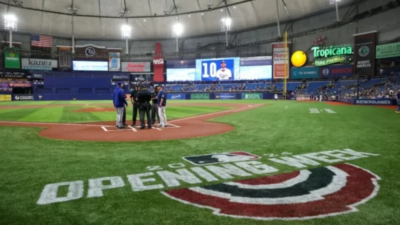 Rays Move Forward in New Stadium Search