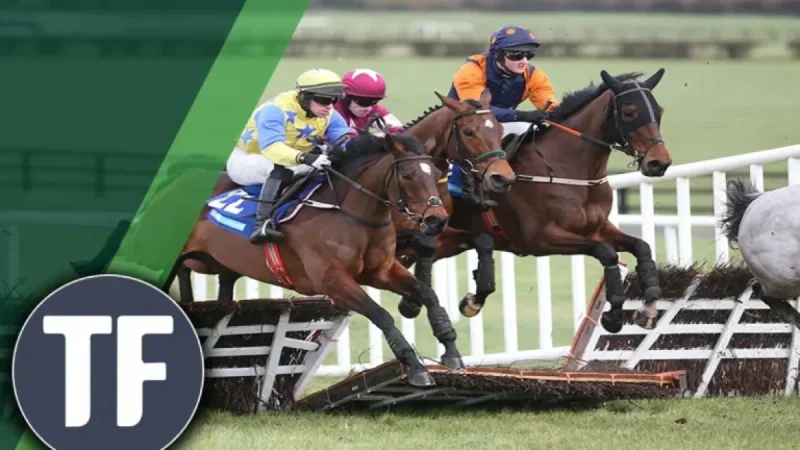 Top Horse Racing Tips: 15/2 Highlight Among Timeform’s Best Bets for Plumpton