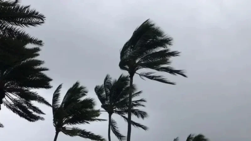 Weekend Events Canceled and Venues Closed Amid Severe Weather Warnings