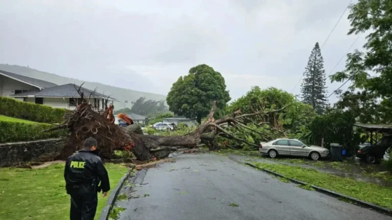 Hawaiʻi Storm Forces State Shutdown, Thousands Without Power