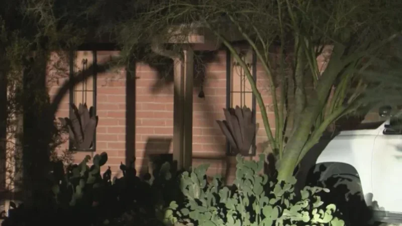 Investigators Photograph Savannah Guthrie’s Sister’s Home Interior – KVOA