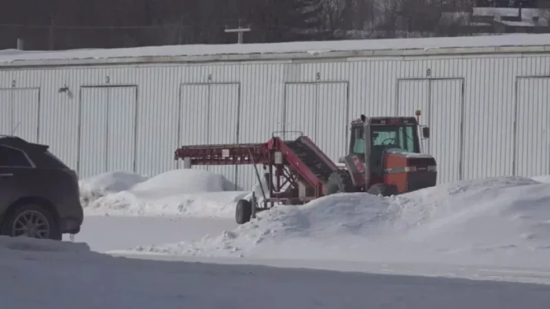Maine Farm Enters Lay’s Super Bowl Challenge