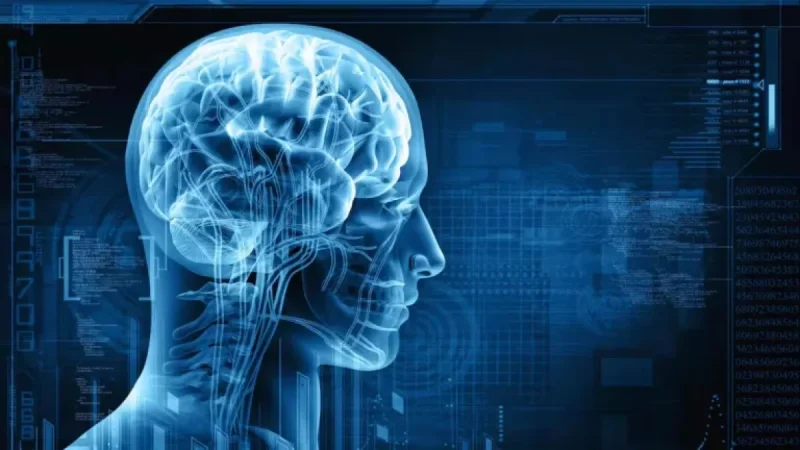 Brain Speed Exercise May Lower Dementia Risk, Study Reveals