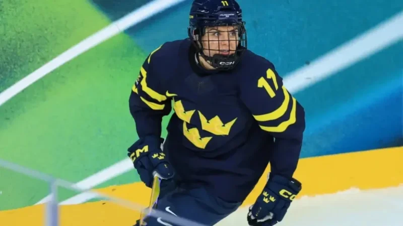 Highlights of Standout Performances in Japan vs. Sweden: 2026 Olympic Women’s Hockey