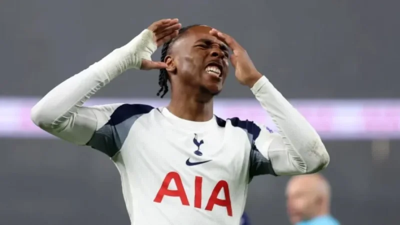 Spurs Stumble at Home with 2-1 Defeat to Newcastle
