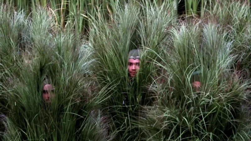 Bad Bunny Engages in Captivating Interview with Bush People