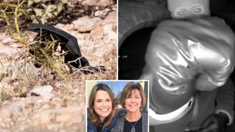 Investigators Discover Black Glove in Search for Nancy Guthrie’s Kidnappers