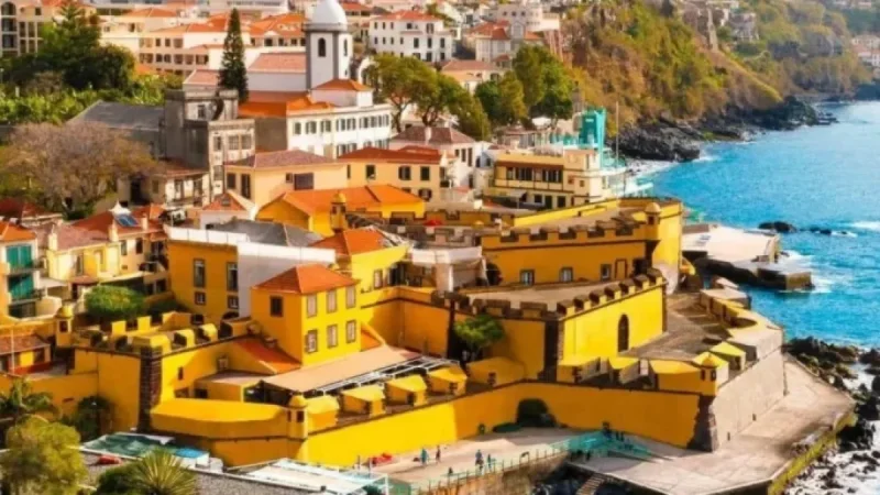 Madeira Joins World Creativity Day Portugal as First Participant