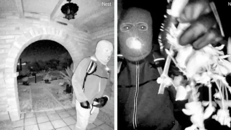 FBI Unveils Suspect Details, Boosts Nancy Guthrie Case Reward to $100K