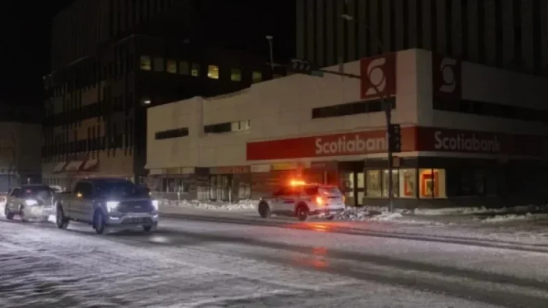Jackfish Wildlife Blamed for Major Power Outage in YK