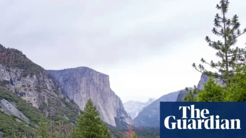 Trump Appoints Hospitality Executive to Head National Park Service