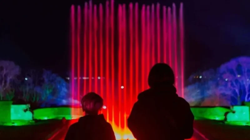 Wildlife Park Announces Return of Festive Light Trail