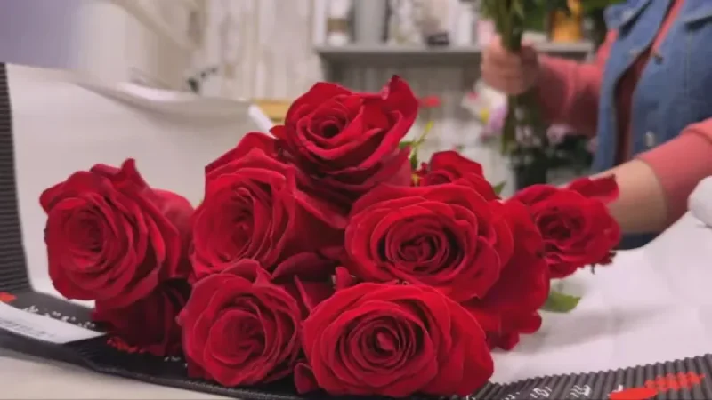 Florists Gear Up for Valentine’s Day with 5,000 Roses Sold